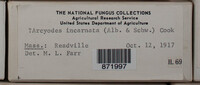 Image Associated With the Occurence